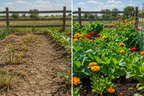 All-Natural Organic Liquid Soil Conditioner- Trout Boost